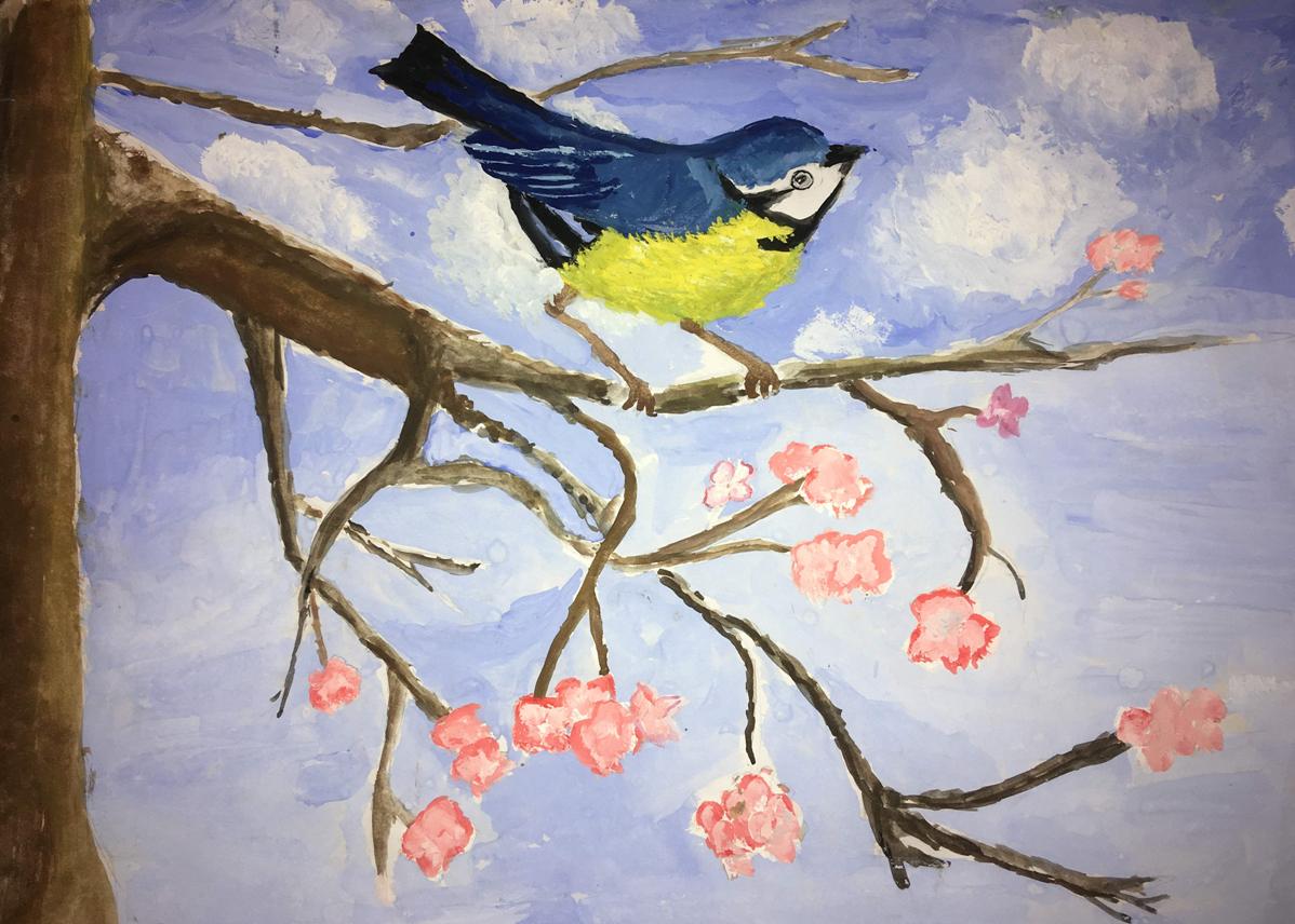 Конкурс синица. Рисование на тему птицы. Детские рисунки птиц. Рисование синица на ветке. Синица на ветке рисунок.